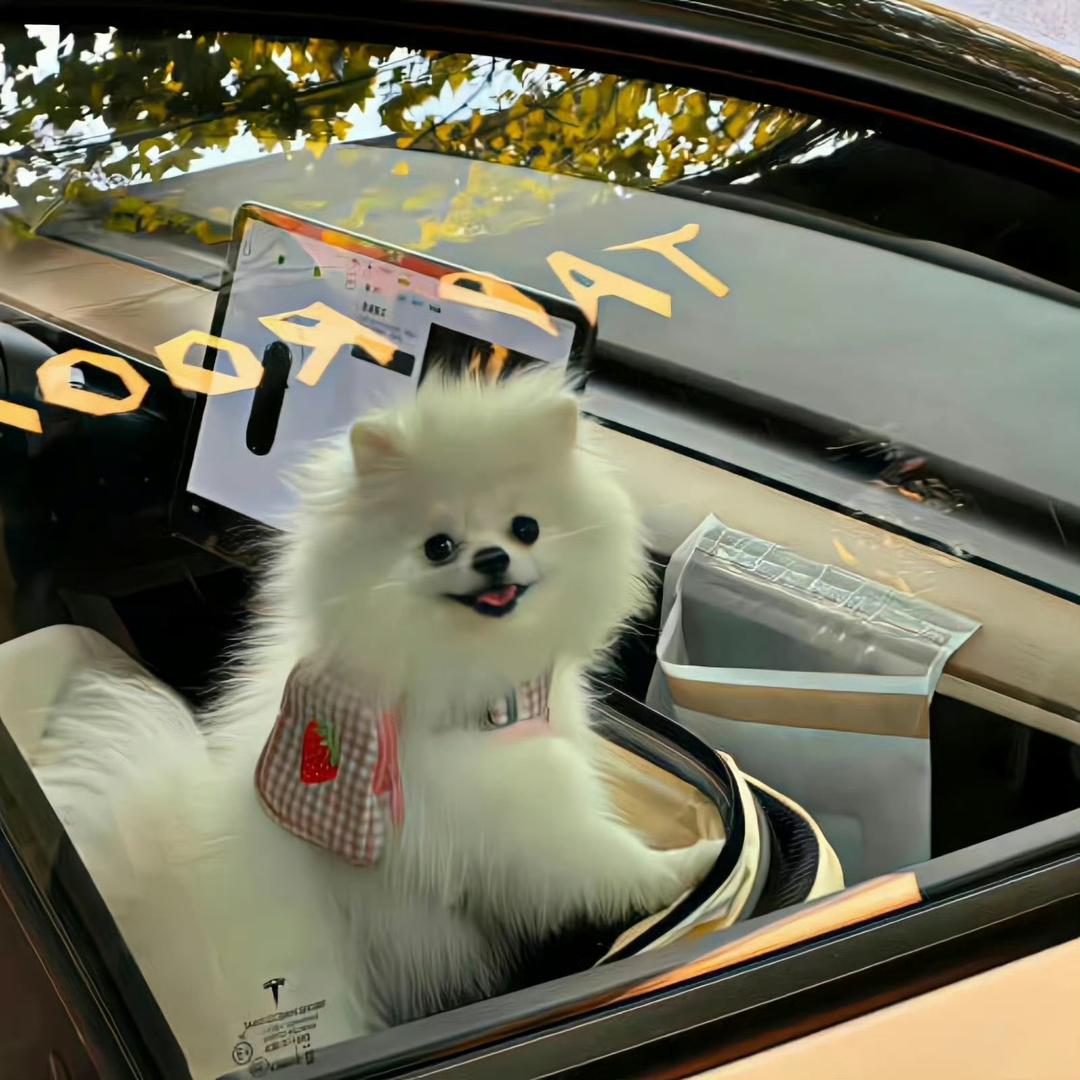 贫民窟艺术家👨🏻‍🎨