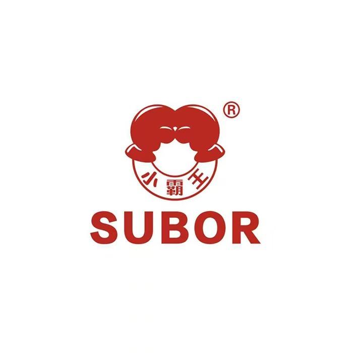 小霸王Subor燃点儿童手表专卖店