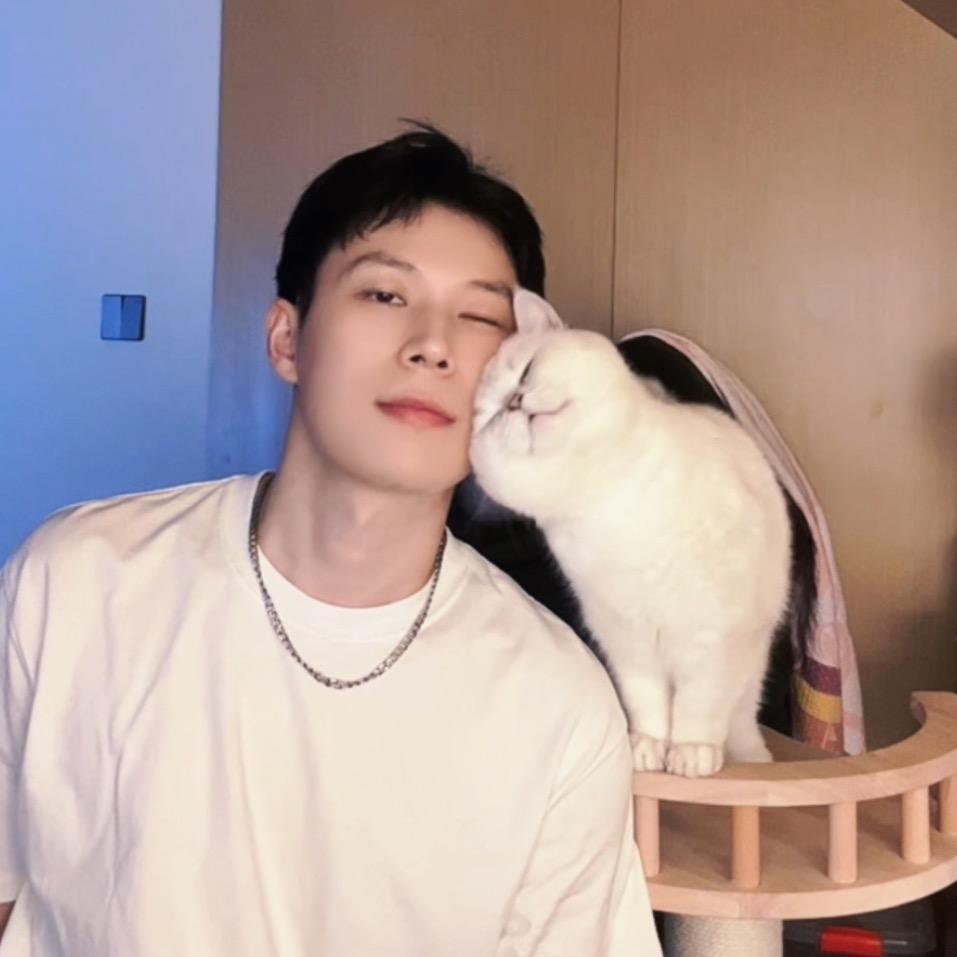 五千是只猫