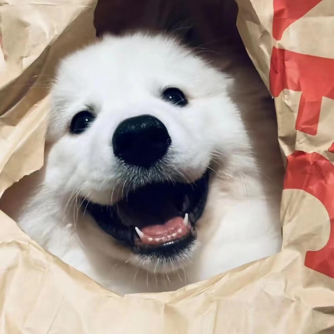 。