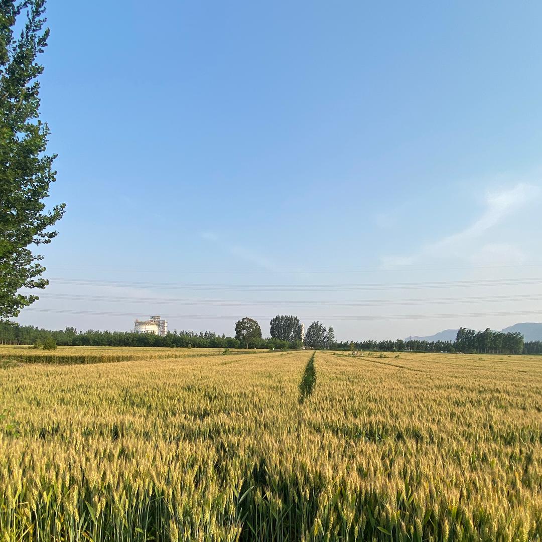 不吃苦的姊姊多读书