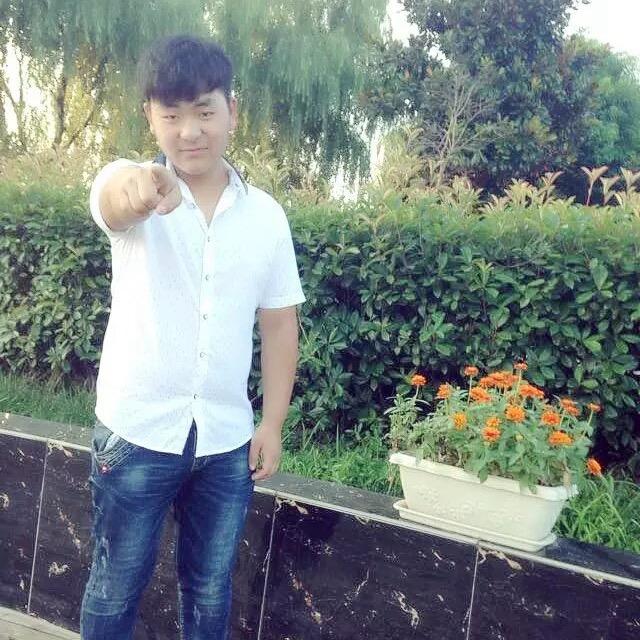 张大大（一匹牛马）