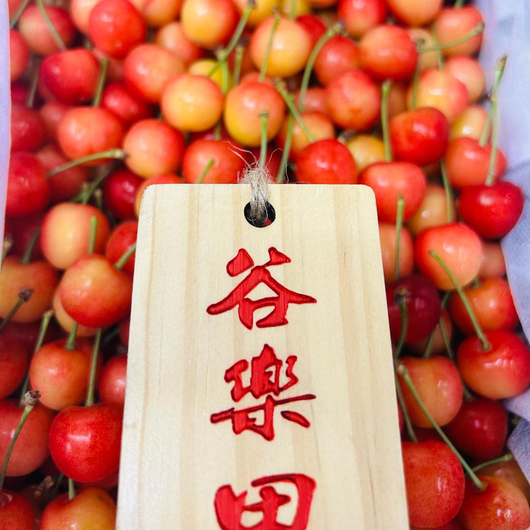 谷乐田美食管家