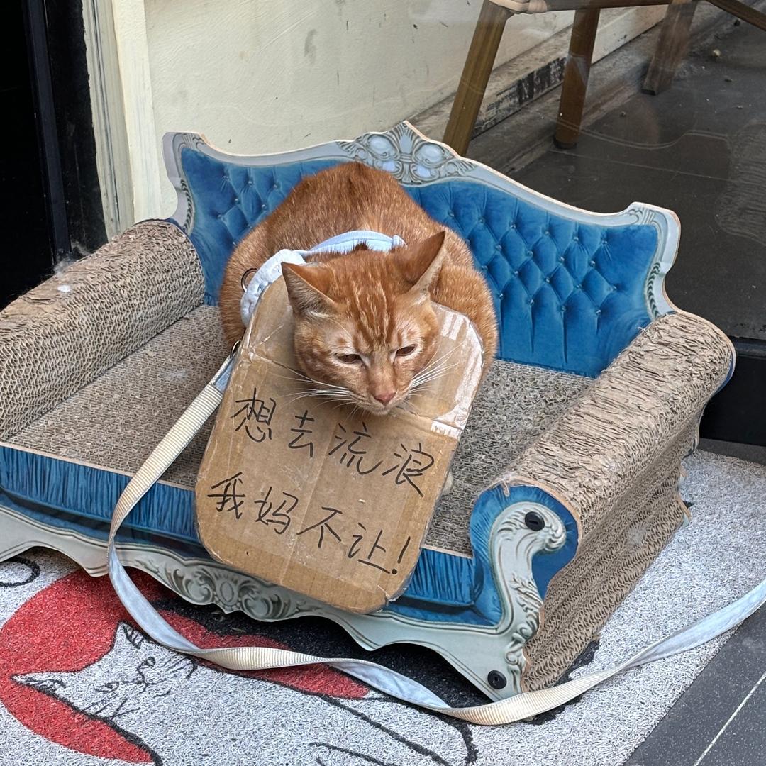 蚊子别咬我！