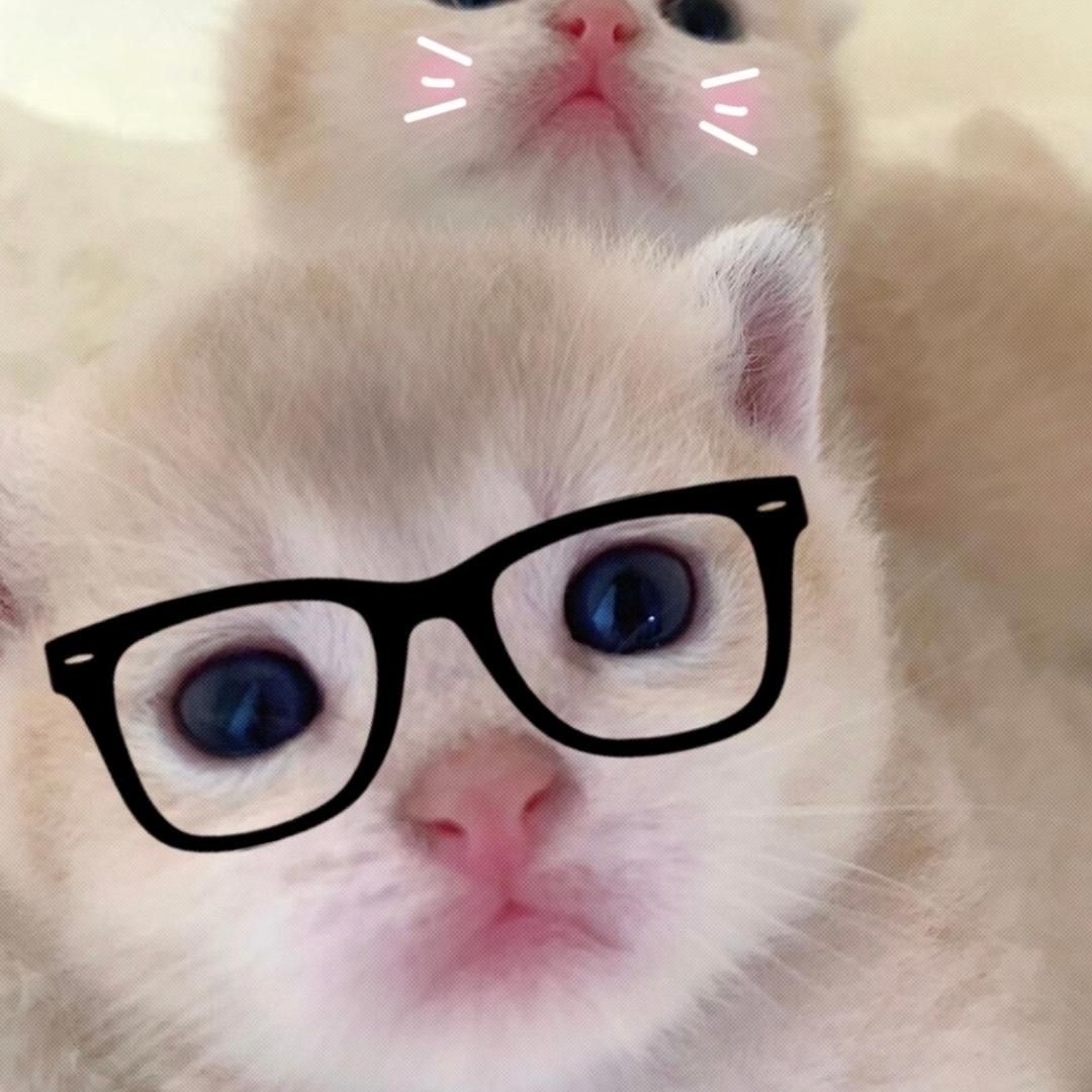 @𝑾𝒖_𝑱.🪶