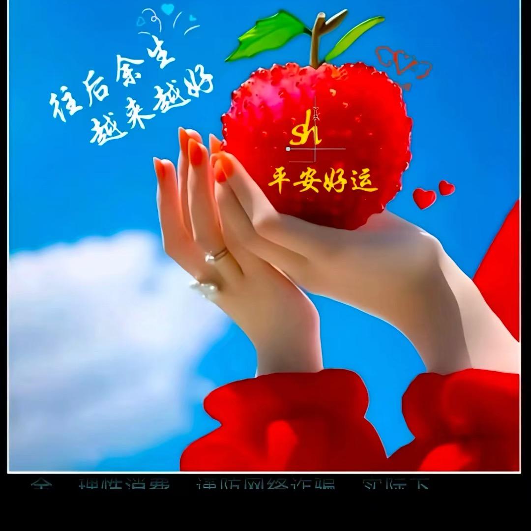 专业铺卫生瓷地面砖