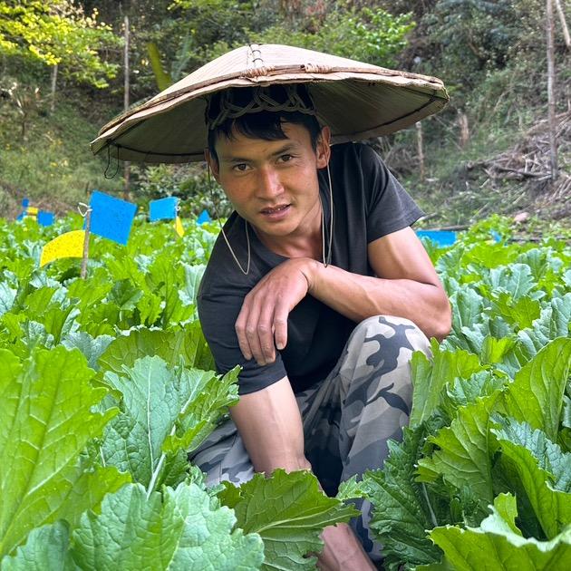 山村小李