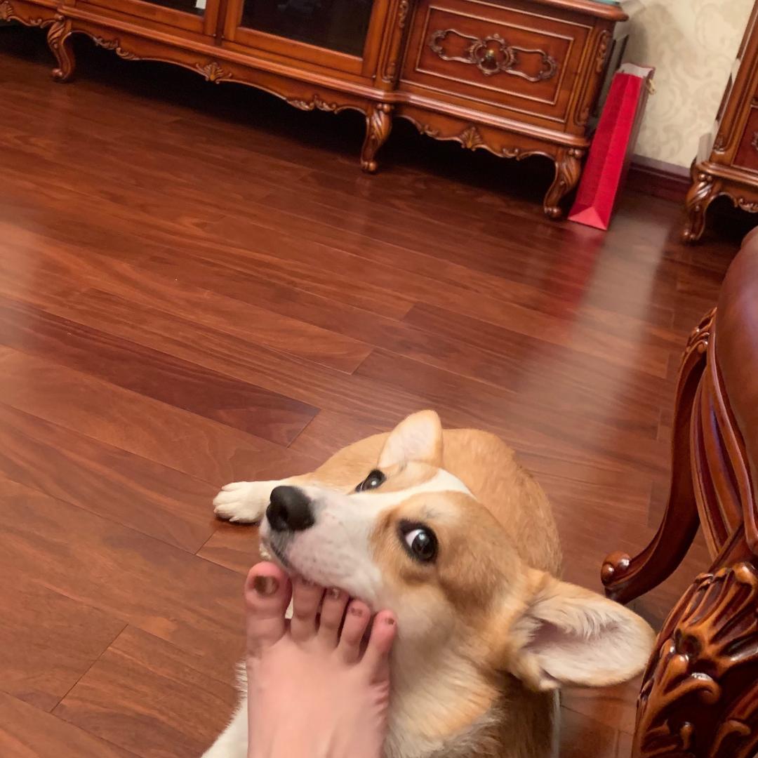 zyyyyyy
