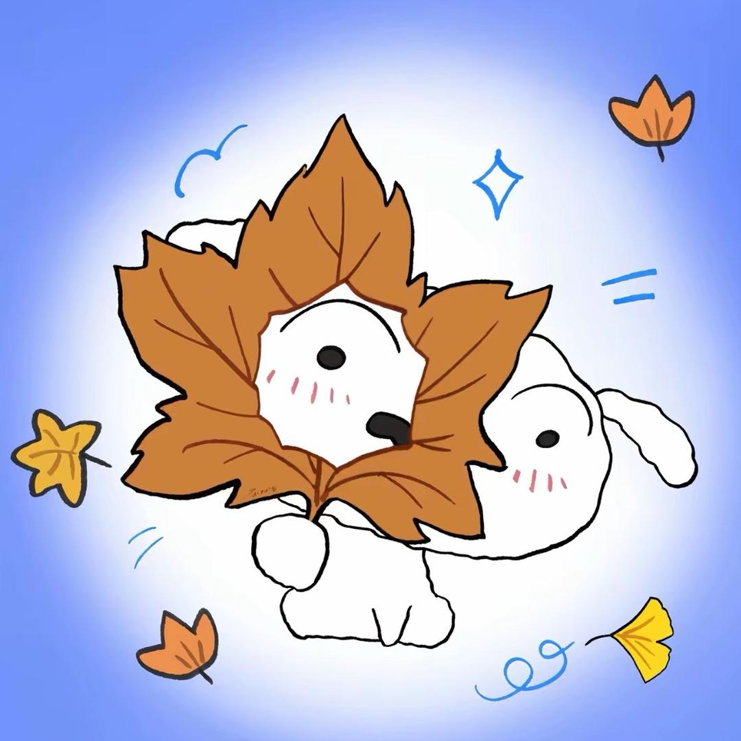 圆肚皮