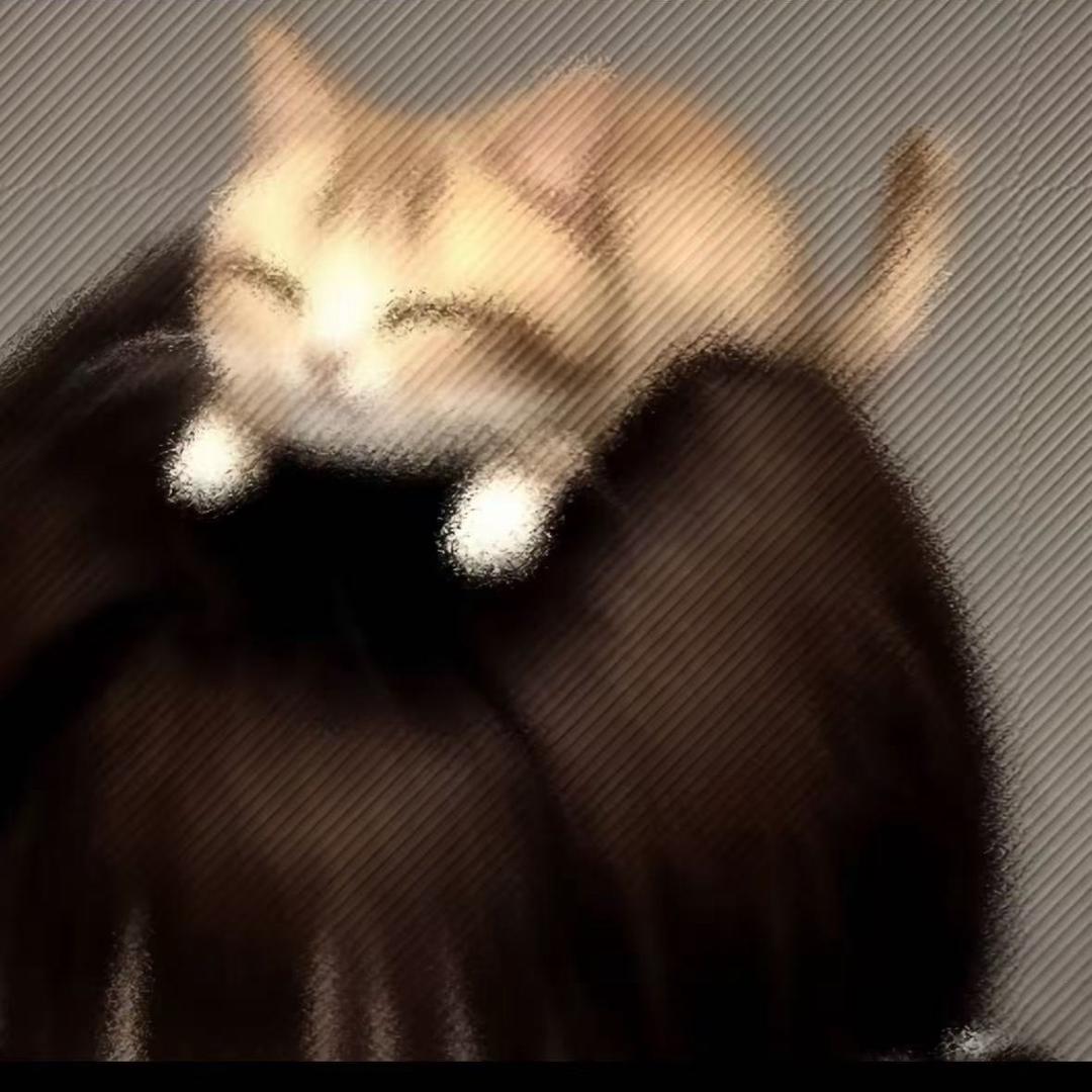 愚鱼🐟