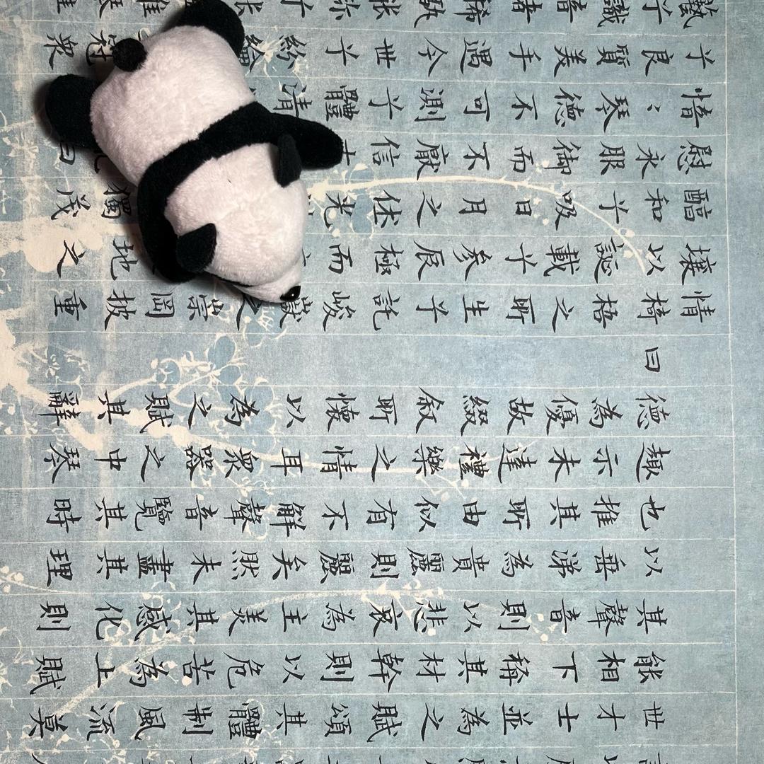 晴天☘️☘️☘️