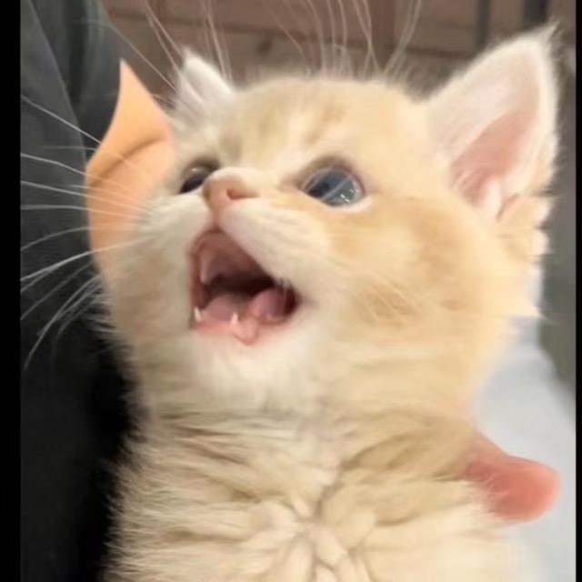 尤了个愉
