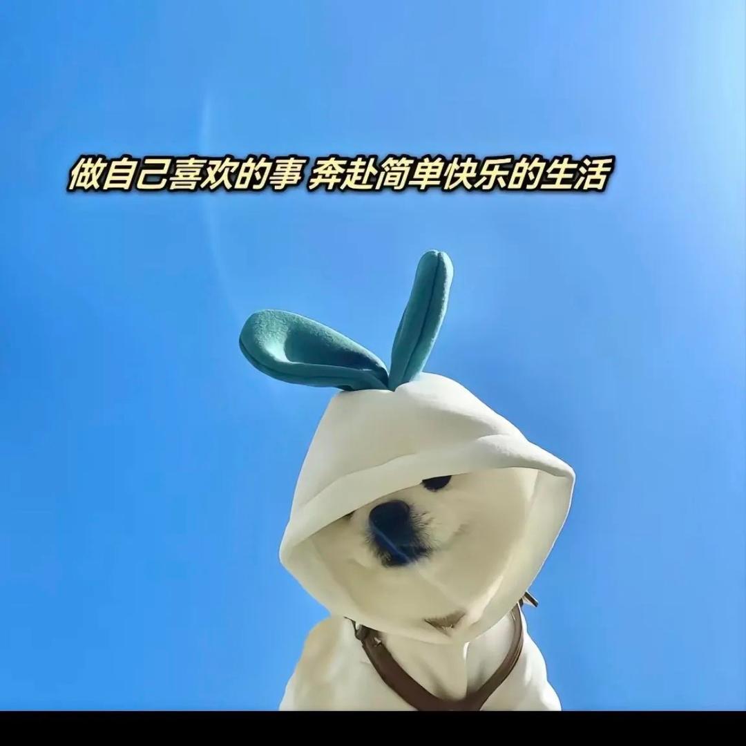 紫米