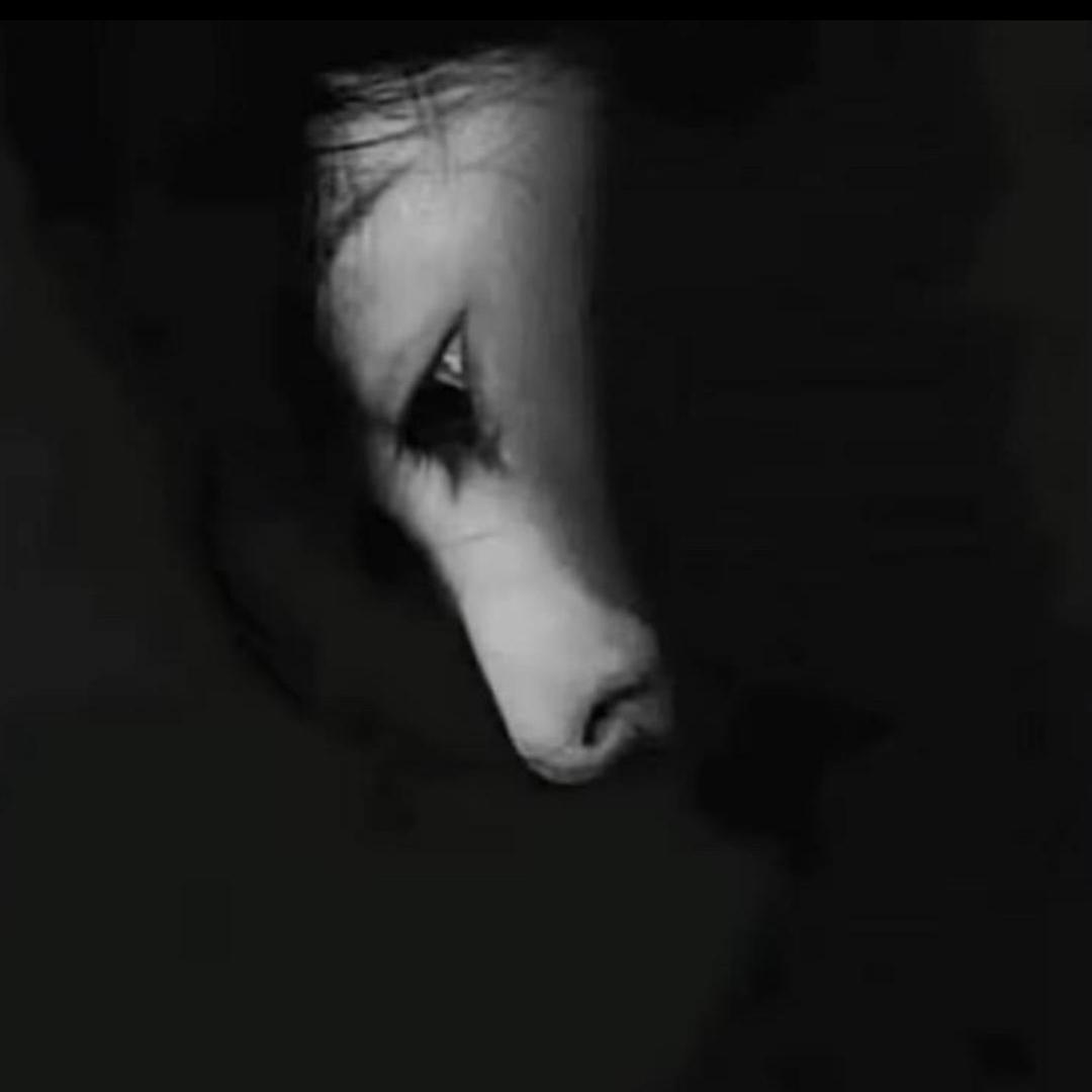 起风了