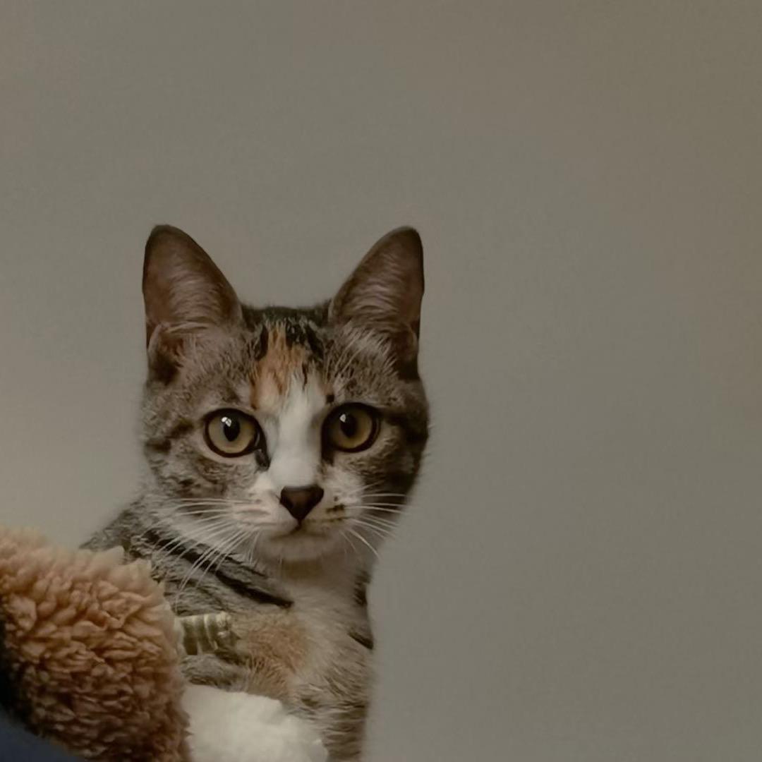 太空船起飞失败