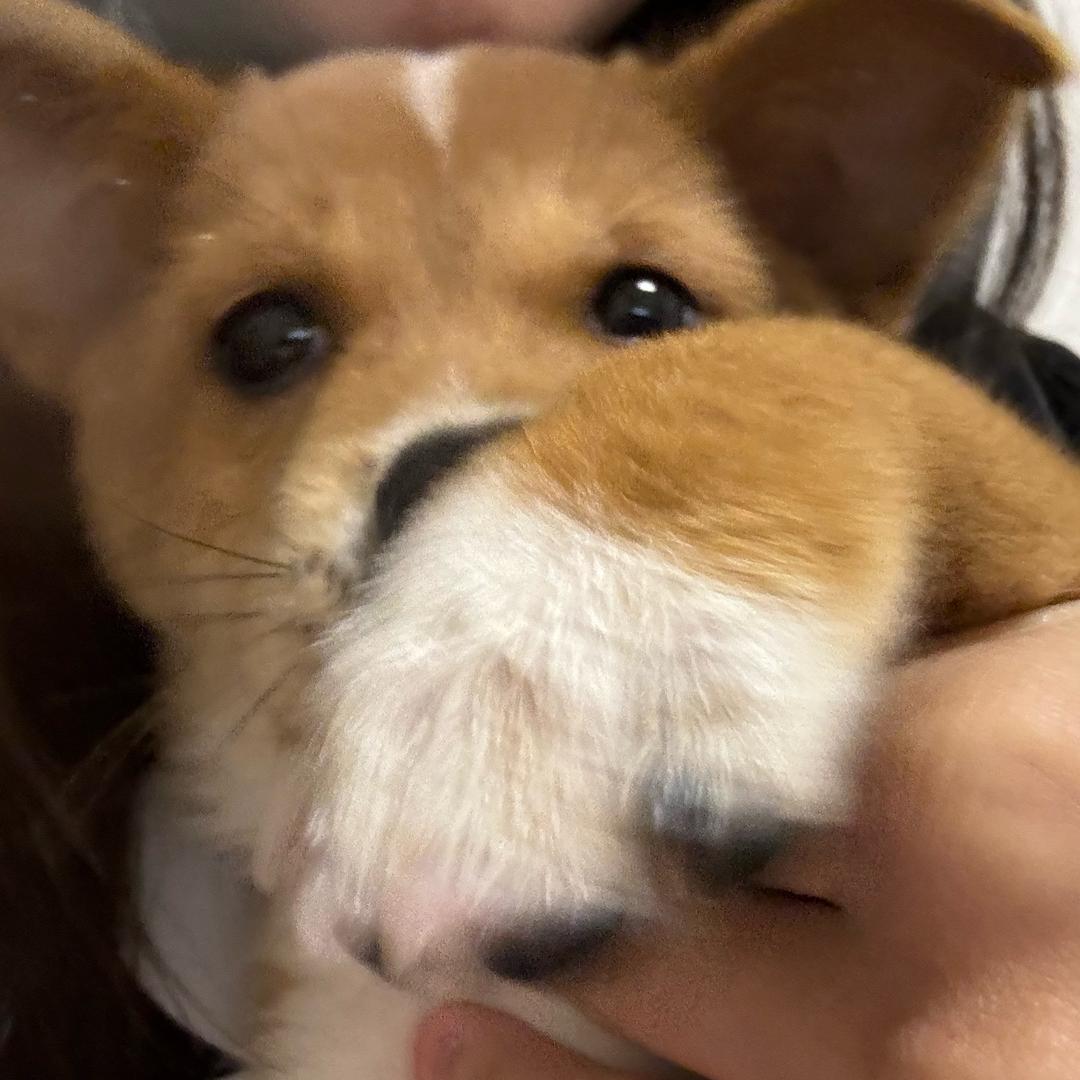 不要放辣椒