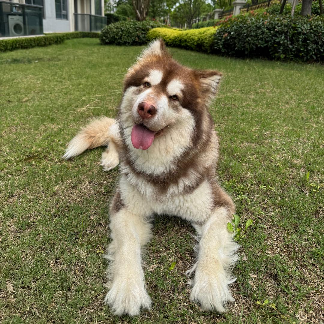 广州唐源qizo直播号