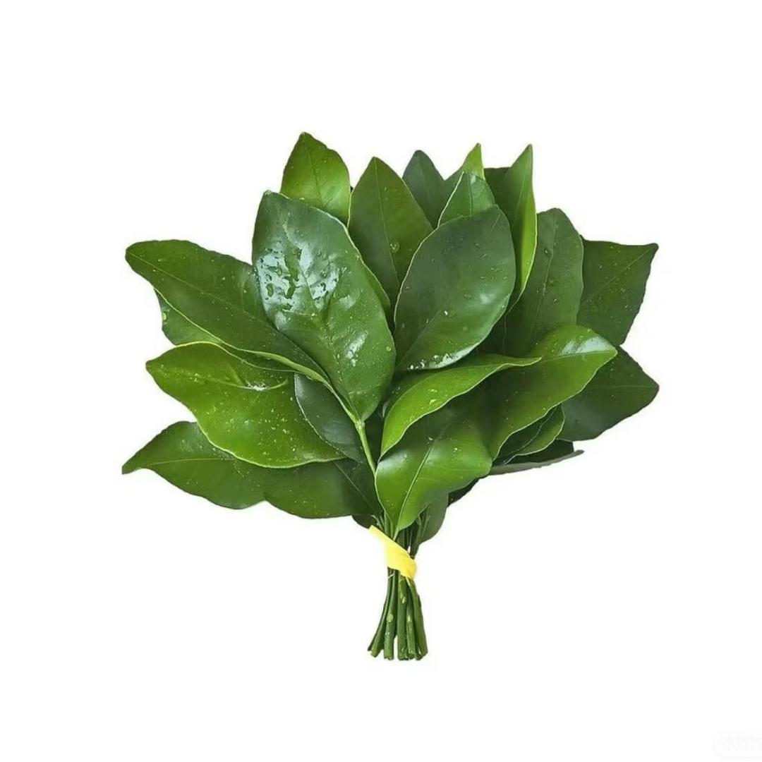 小美老师