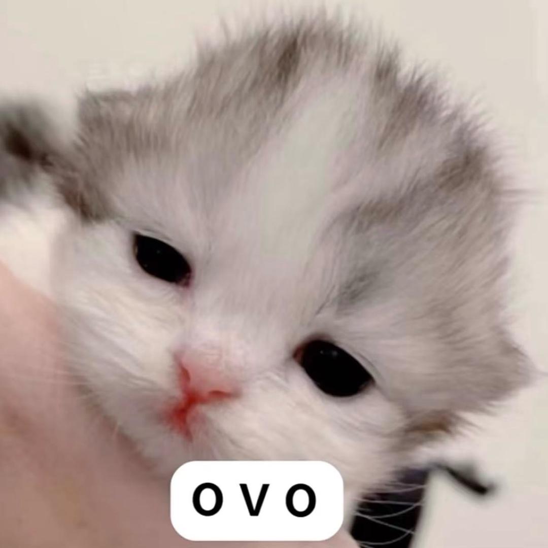 呵h👾