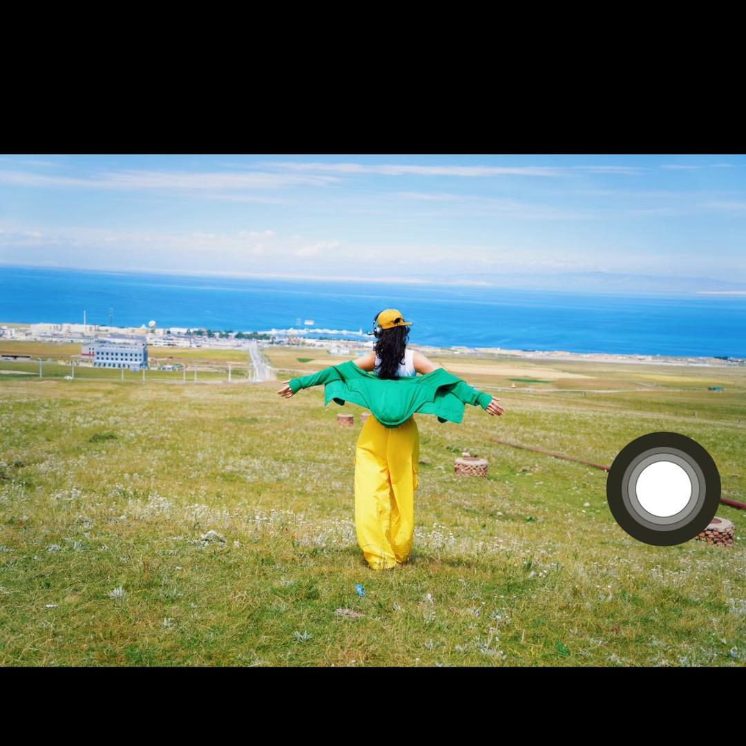 终是庄周梦了蝶