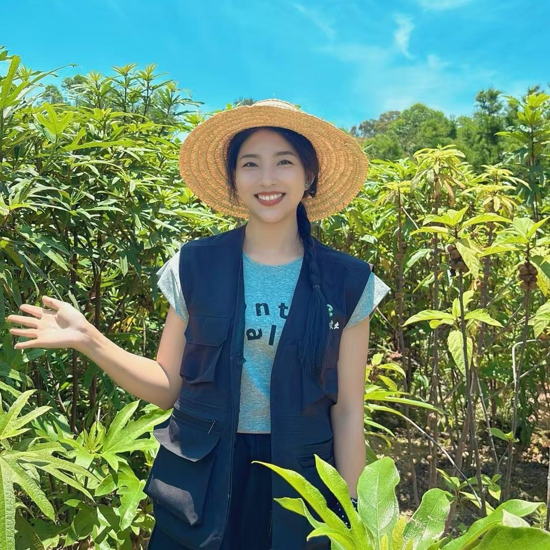 英诚集团五指毛桃晚秋