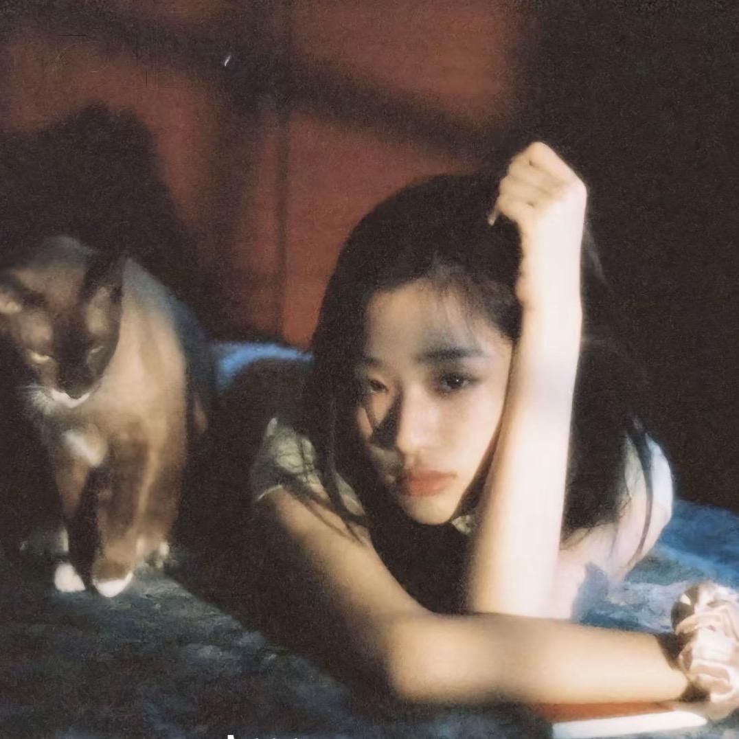 猪猪酱