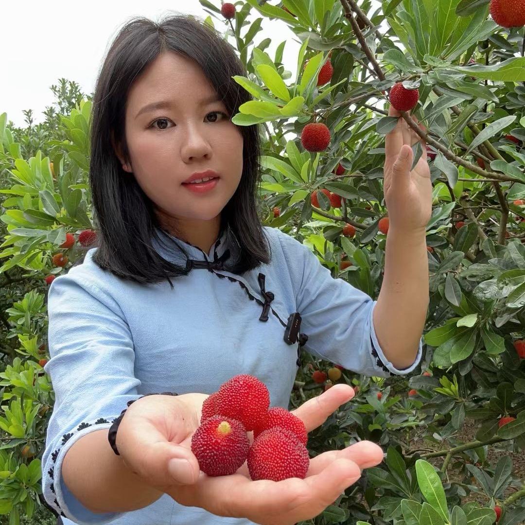 小黄湖南源头水果
