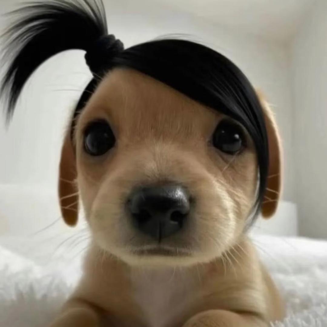 18岁装忧郁反被打