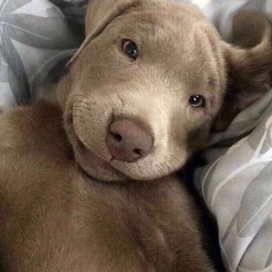 Oii