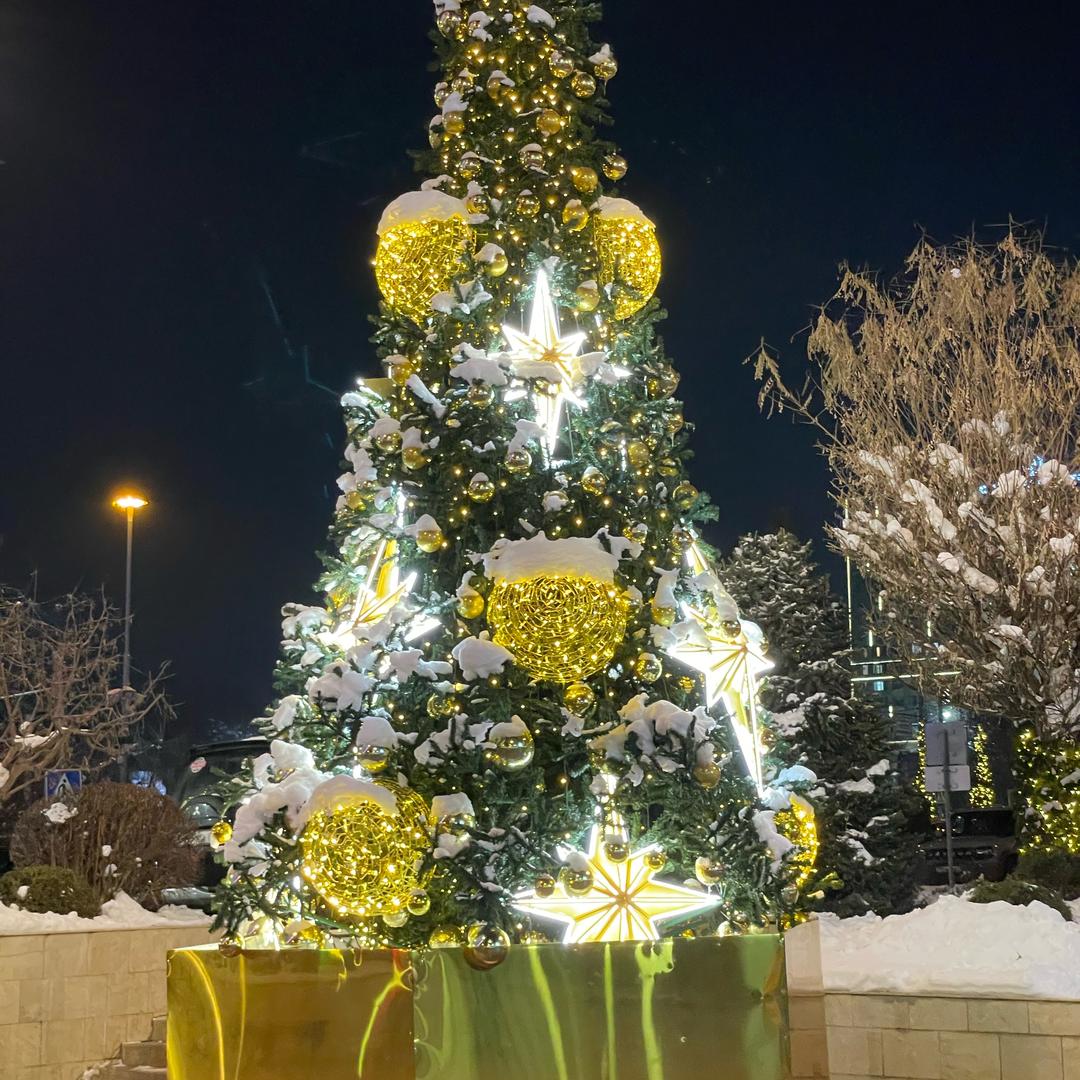 Siri（车辆出口全球贸易）