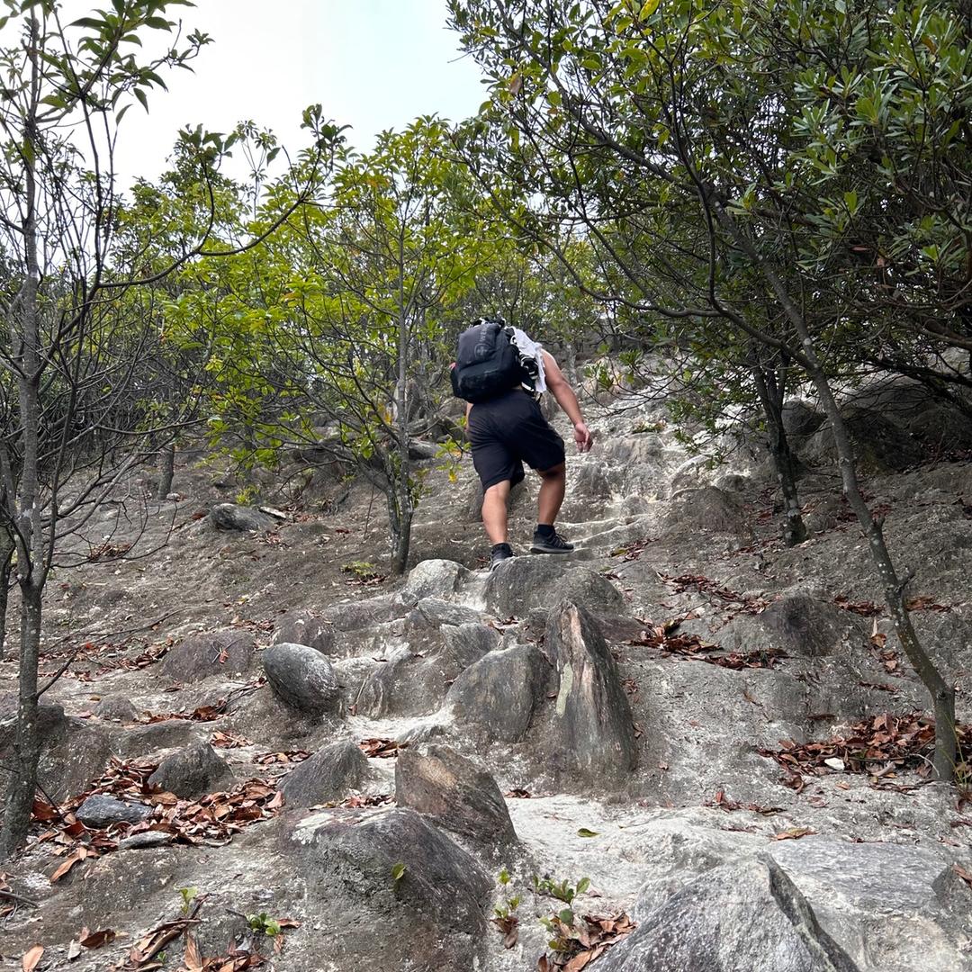 孤山行者
