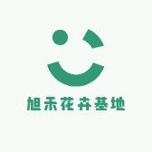 花都嘉禾的花园