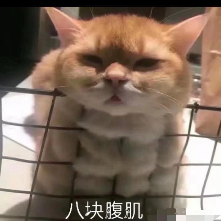 沐雨