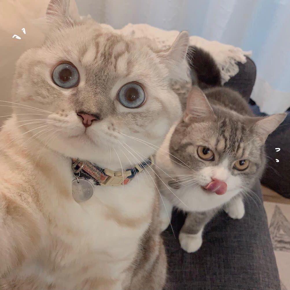 哆哆零食