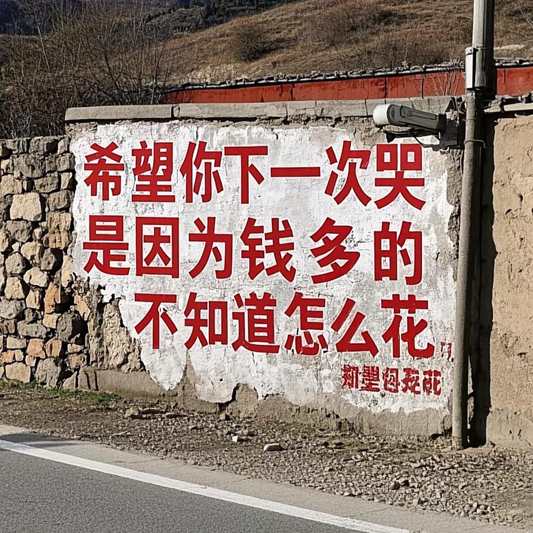 一只公