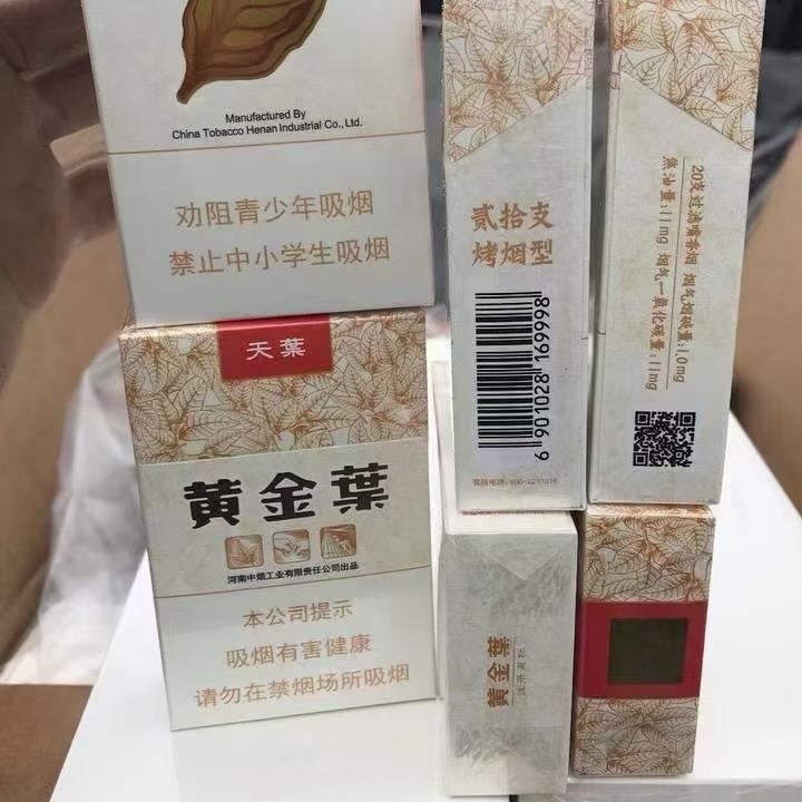 大家好123123