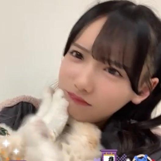 麦当劳大鼠