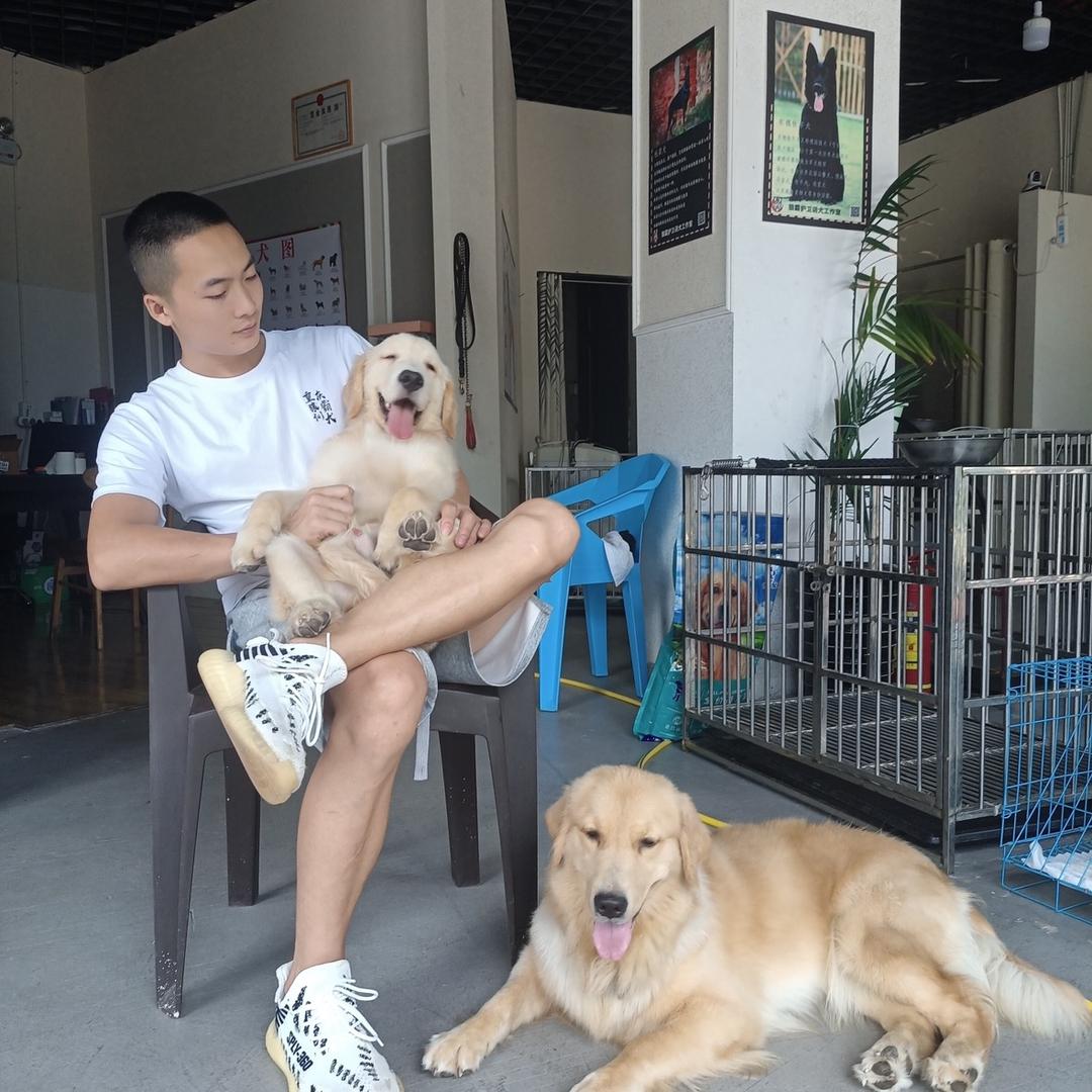 重庆训犬一哥 | 谭洪“收徒”