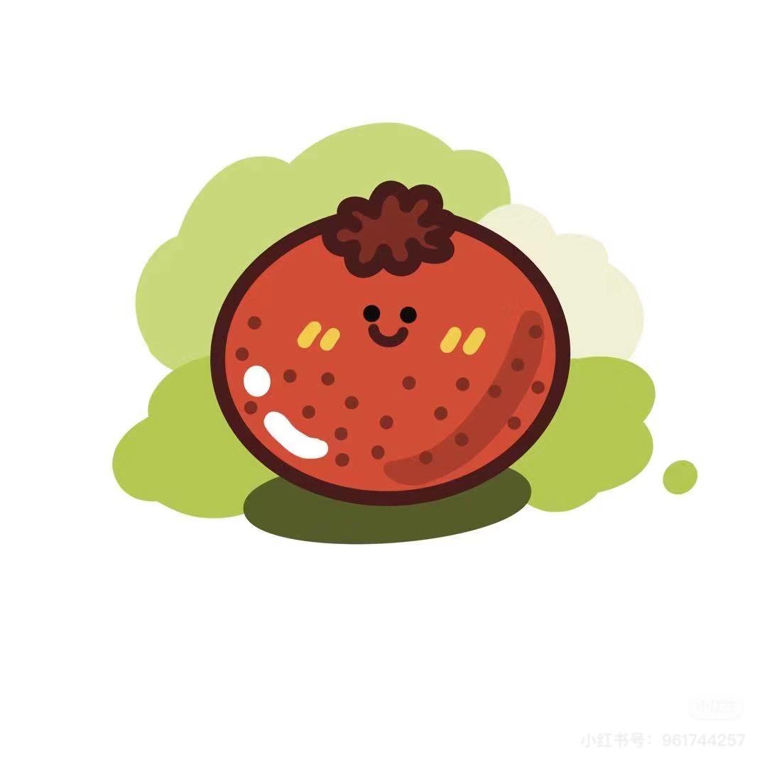 山楂蓓蕾