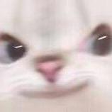 梆梆梆⸂⸂⸜👊⸝⸃⸃