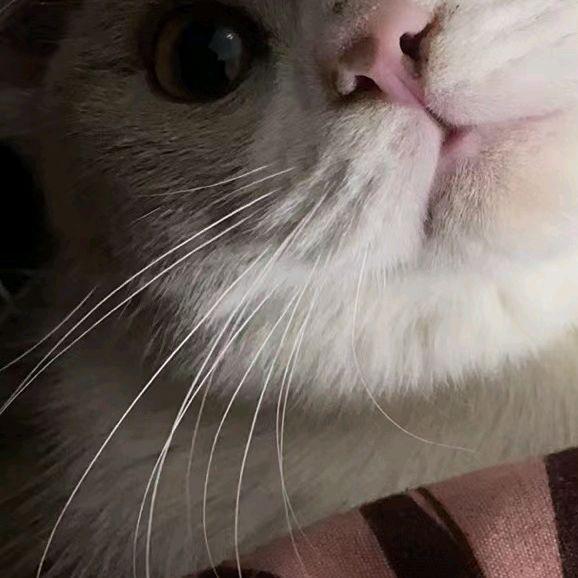 8.8