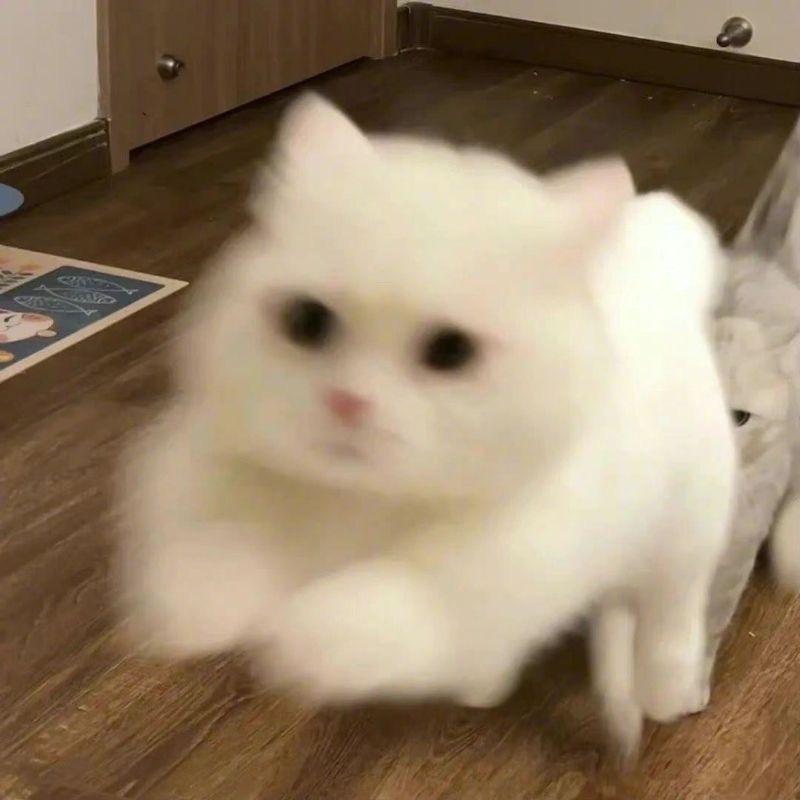 要乐观