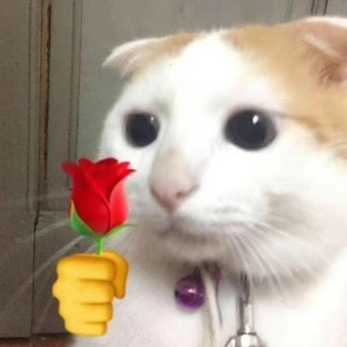 小欧