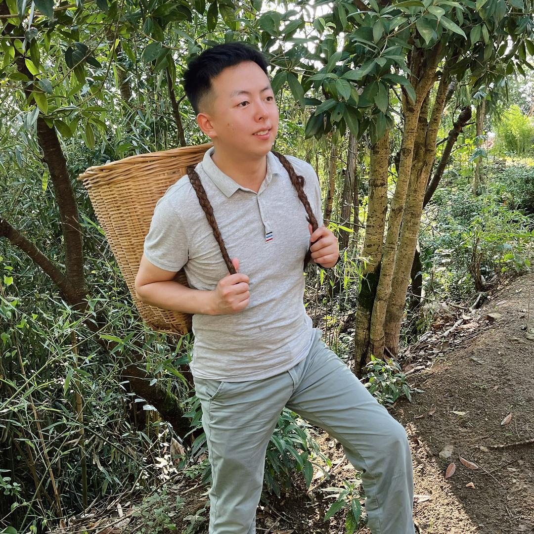 星辉的故事