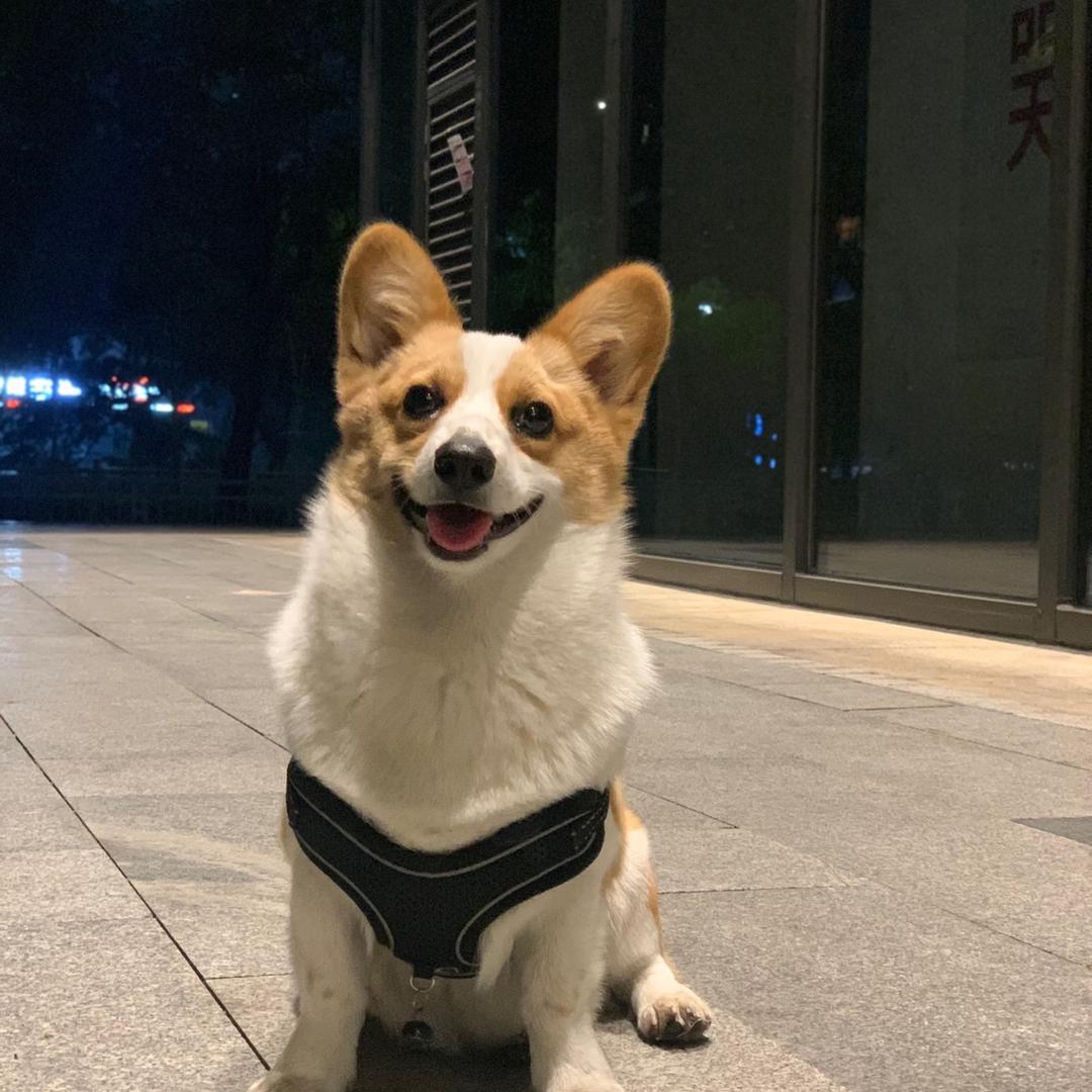 叫什么叫