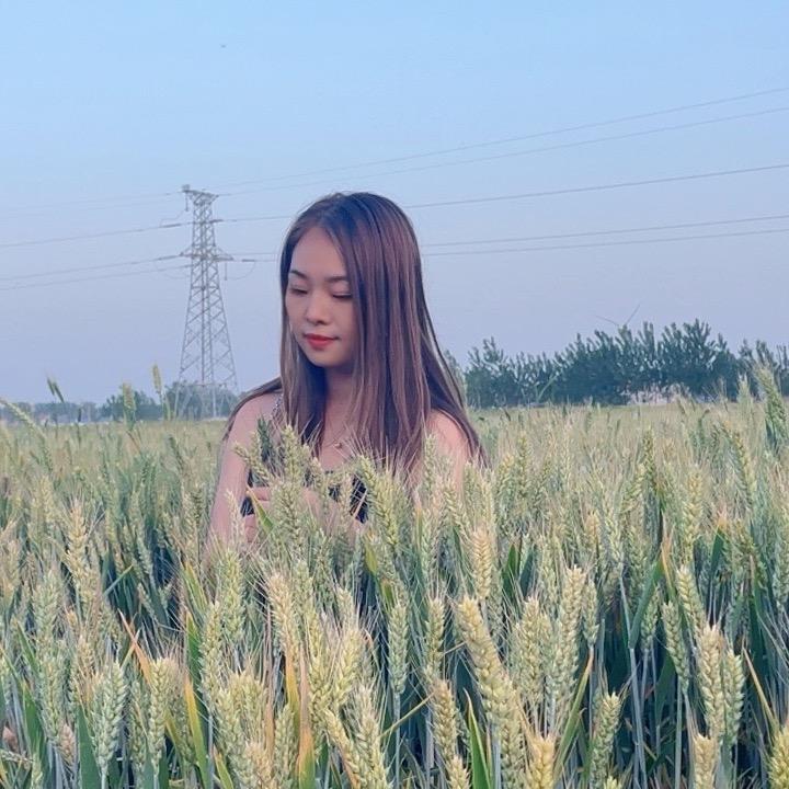 柒柒妹儿