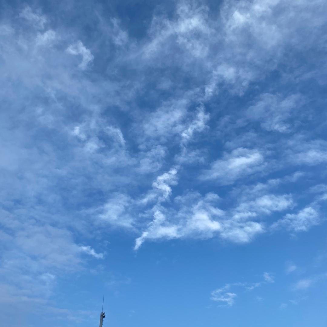周长枝