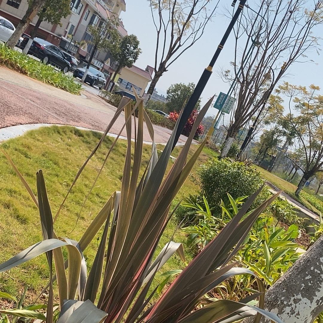 非翡遇见你
