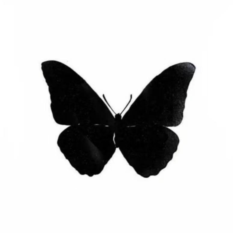 The butterfly韩系女装