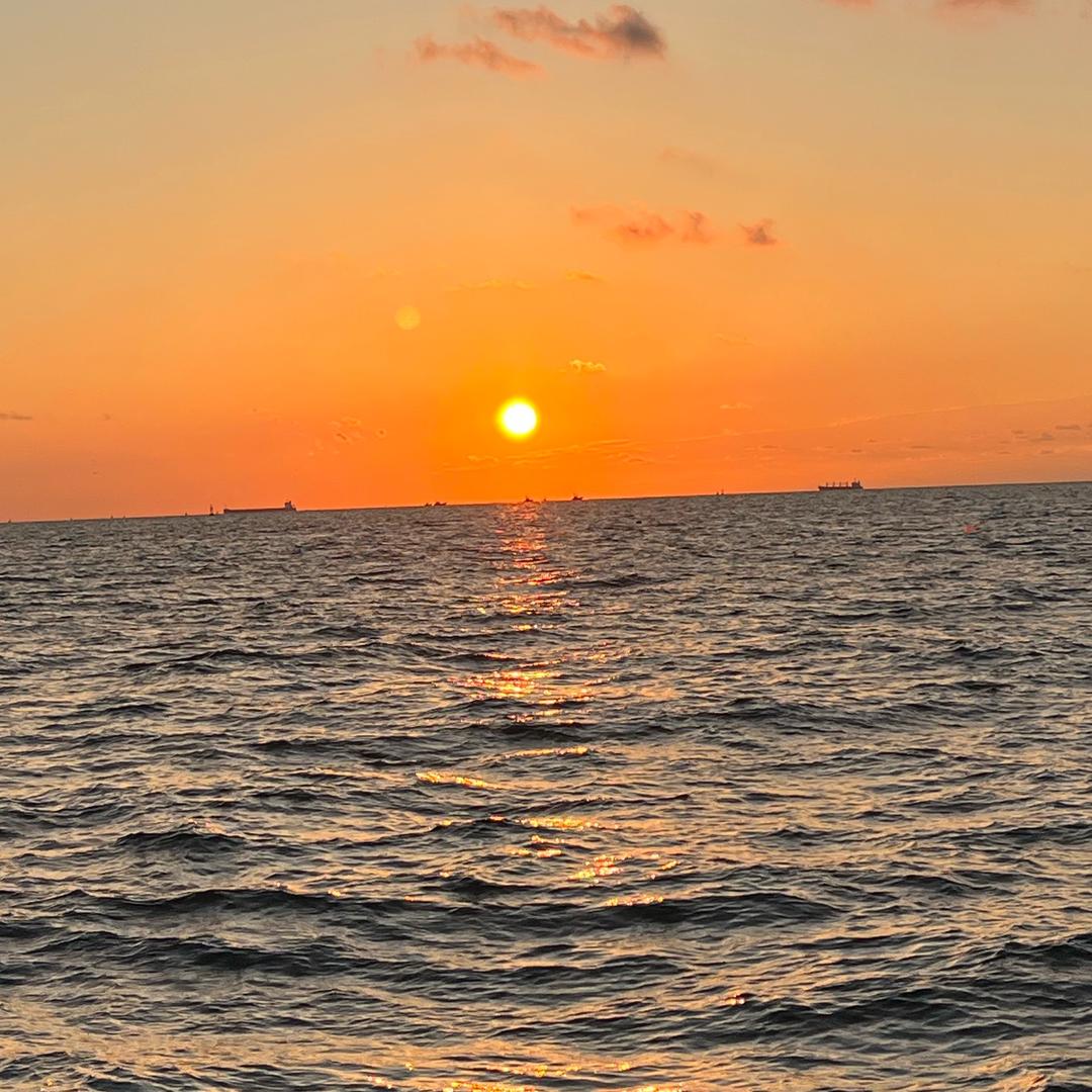 海 品 汇🌔